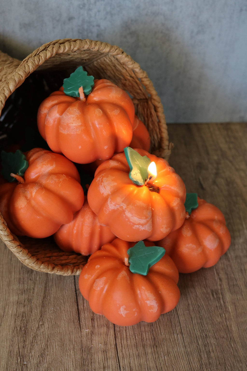Pumpkin Patch