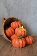 Pumpkin Patch